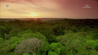 Zdumiewająca Ameryka Południowa cz.  1, Amazonia jedna dżungla, wiele świat&oacute;w