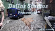 DallasStudios - Ewelina Hessler - Kuchenne Rewolty