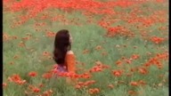 Hrabina Marica - operetka Emmericha K&aacute;lm&aacute;na