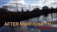 After Marfish # 111 Okonek, leszcze do wędzenia, Nowy rekord wędkarski, Liga Marfisha, Czat na żywo