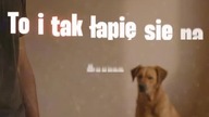 Pusto bez Ciebie  #dogsofyoutube #polskirap #muzyka #rappl #music #rap #shorts