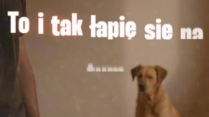 Pusto bez Ciebie  #dogsofyoutube #polskirap #muzyka #rappl #music #rap #shorts