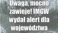 Uwaga, mocno zawieje! IMGW wydał alert dla województwa lubelskiego