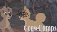 GooseBumps /Animash Short Edit/