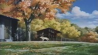 Hashire! Shiroi Ookami 1990 po polsku(napisy)