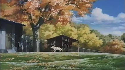 Hashire! Shiroi Ookami 1990 po polsku(napisy)