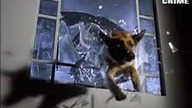 Komisarz Rex S04E08 (Człowiek o tysiącu twarzach)