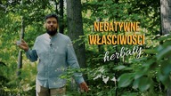 NEGATYWNE właściwości herbaty