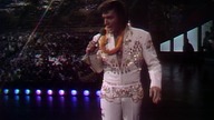 Elvis Presley Blue Suede Shoes (Aloha From Hawaii, Live in Honolulu, 1973)