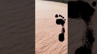 Walking on the river beach - Vistula River #shorts