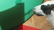 Prosimy o donejty na podwyżkę dla zbuntowanych pracowników!