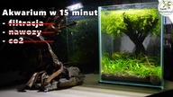Akwarium w 15 minut #akwarium #aquascape