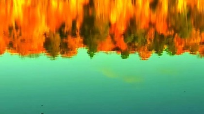 Lake Waves at Night  Calm Shoreline Ambience
