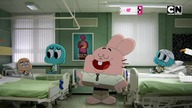 CARTOONNETWORK PT - 19-11-2024 - Continuity
