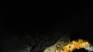 burn baby #gaming #horror #twitch #shorts