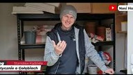 Praktycznie o gołębiach - opowiada kol.  Stanisław - Czy przekarmiasz gołębie?