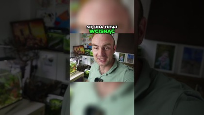 Gdzie upchać nowe akwaria Zobacz moje pomysły!