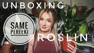 UNBOXING ROŚLIN - Same perełki