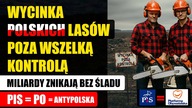 Wycinka Polskich lasów poza wszelką kontrolą | Miliardy znikają bez śladu | PIS  PO