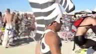 Lew atakuje zebre
