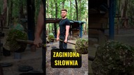 ZAGINIONA SIŁOWNIA Z BETONU