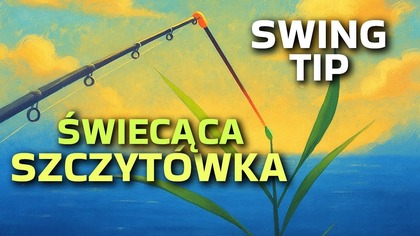 616 SWING TIP I ŚWIECĄCE SZCZYTÓWKI - JACEK DUBIEL