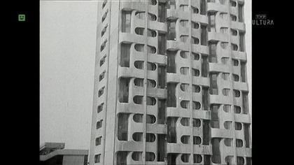 Pies (1973)