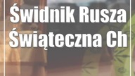 Świdnik: Rusza Świąteczna Choinka Dobroci