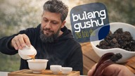 Pu-Erh Bulang Gushu Cha Tou Shu  czym jest Cha Tou i jak smakuje herbata ze starych drzew?