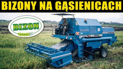 Bizon Rekord na gąsienicach i zbiór ryżu w Ekwadorze