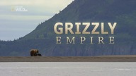 Imperium Grizli.
