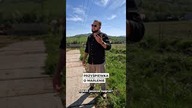 Wstawać lenie, śpiewamy o Marlenie #rompey #przyśpiewka Rompey - Przyśpiewka o Marlenie