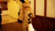 Cooper Clips Vol 6