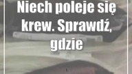 Niech poleje się krew.  Sprawdź, gdzie można ją oddać (harmonogram)