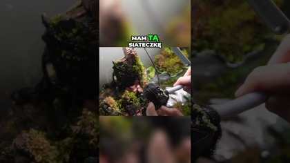 Dżdżownice w Naszym Zbiorniku!