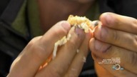 Man. vs. Wild. s04e10. Big. Sky. Country. 720p