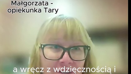 Kto mi podmienił psa?