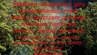 Tak iż nic nie mają na swoją obronę Rzymian 1,20