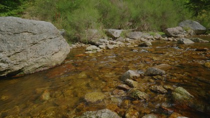 3H Crystal Clear Stream for Study  Natural Mountain Water Sound-001