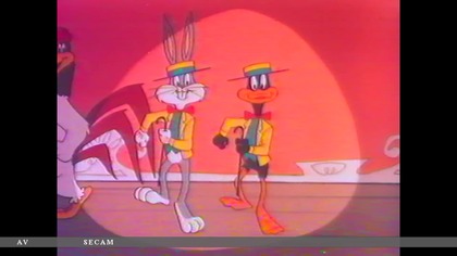 Bajki Bugs....V 20160121 085048