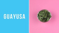 GUAYUSA - jak parzyć, właściwości, działanie | Czajnikowy.pl