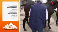 KRONETV - 27-01-2023 - Werbung