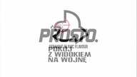 Pokoj z Widokiem na Wojne - Mlody Polak