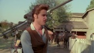 Elvis (1979)