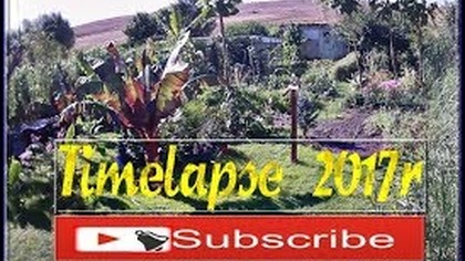 Odc 390-Timelapse od wiosny 2017 do zimy 2017.  Ogród egzotyczny .