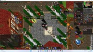 Gdzie expić na Visionot. online? - 8-150lvl - Poradnik - Tibia Custom OTS