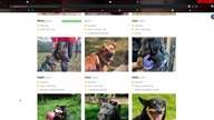 ADOPTCJA PSA CZY KOTA ODCINEK 8