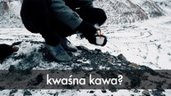 Kwaśna kawa? Kwasowość czy kwaśność w kawie? Czajnikowy.pl