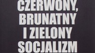 Dlaczego socjalizm jest antysemicki? Niewygodna prawda o lewicy