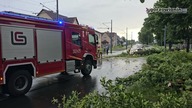 Wichury w Gorzowie.  Połamane drzewa, nieprzejezdne drogi